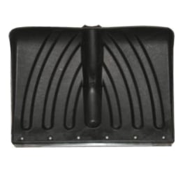 ���� ������ �������� 